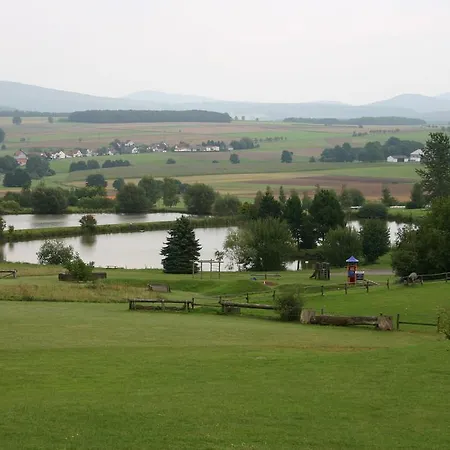 ホテル Hessen Hotelpark 4*